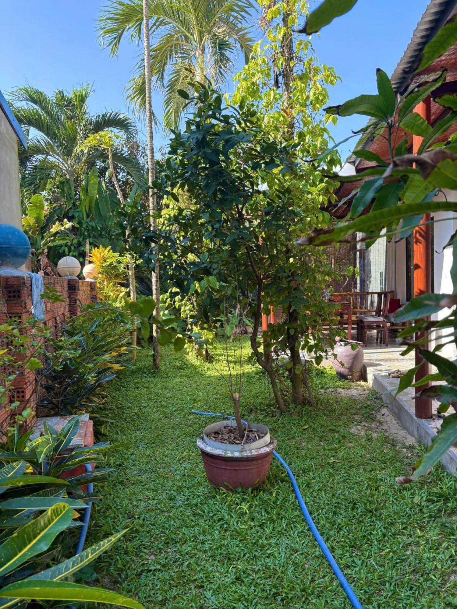 Villa Garden View